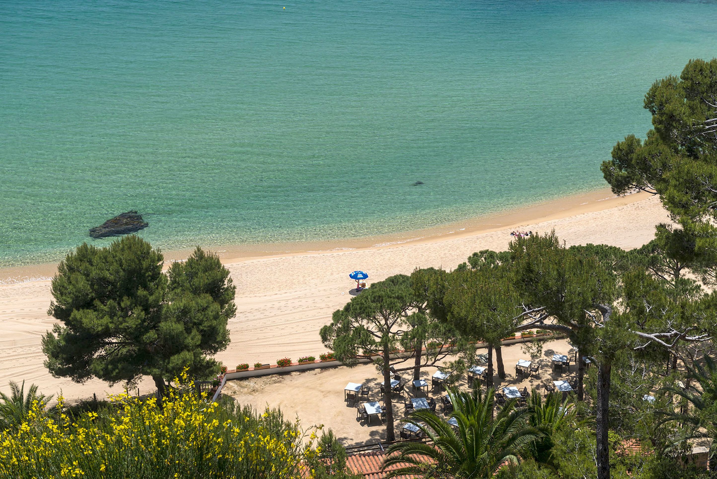 on the beach, beach bar