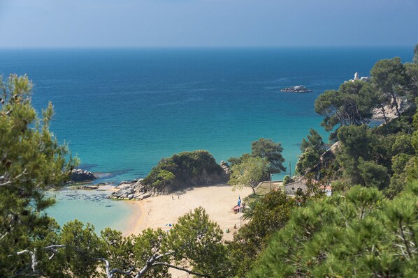 Nära stranden och strandbarer