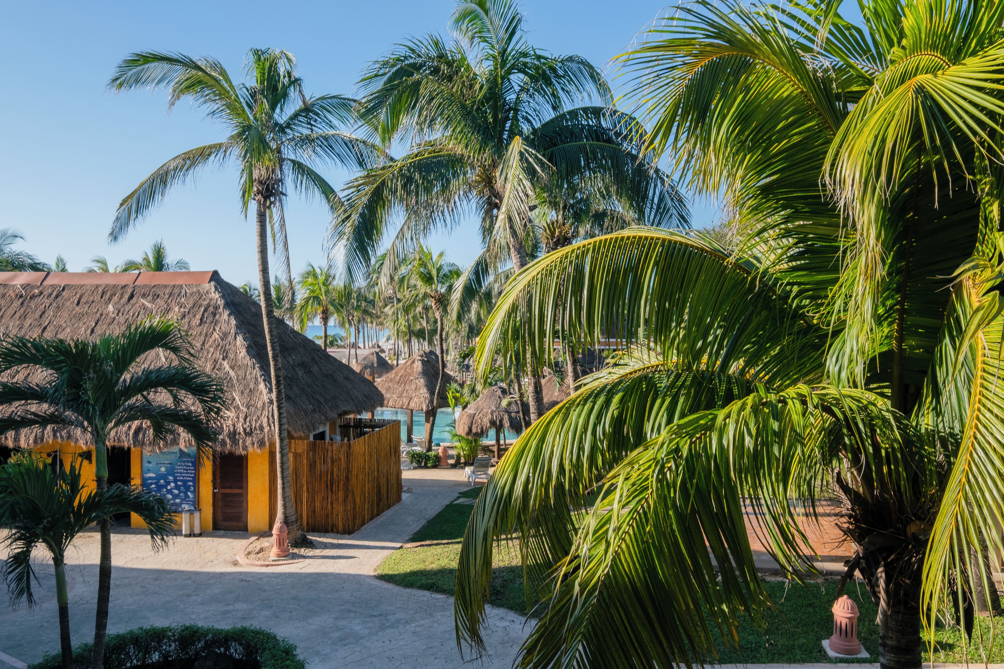 Foto - Iberostar Waves Quetzal - All Inclusive