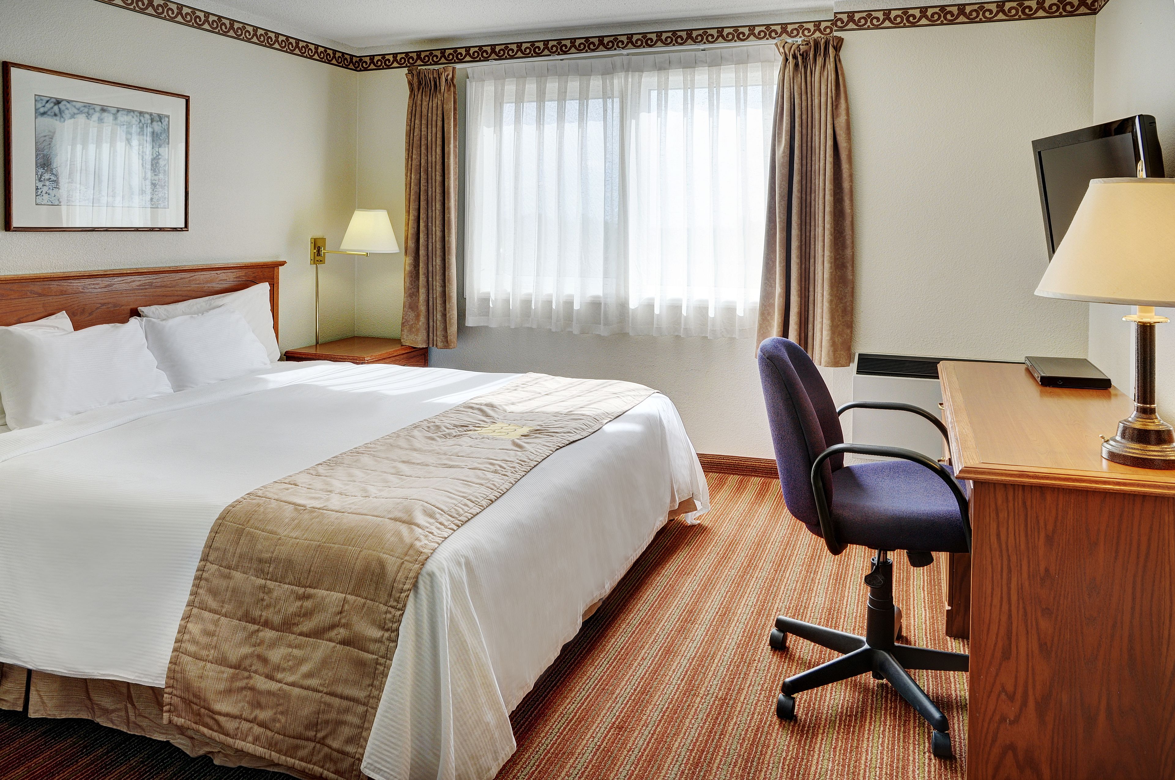 traditional single room, 1 king bed | premium bedding, desk, soundproofing, iron/ironing board