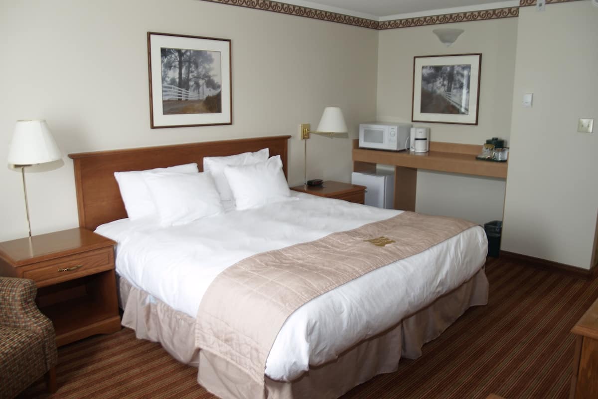 traditional single room, 1 king bed | premium bedding, desk, soundproofing, iron/ironing board