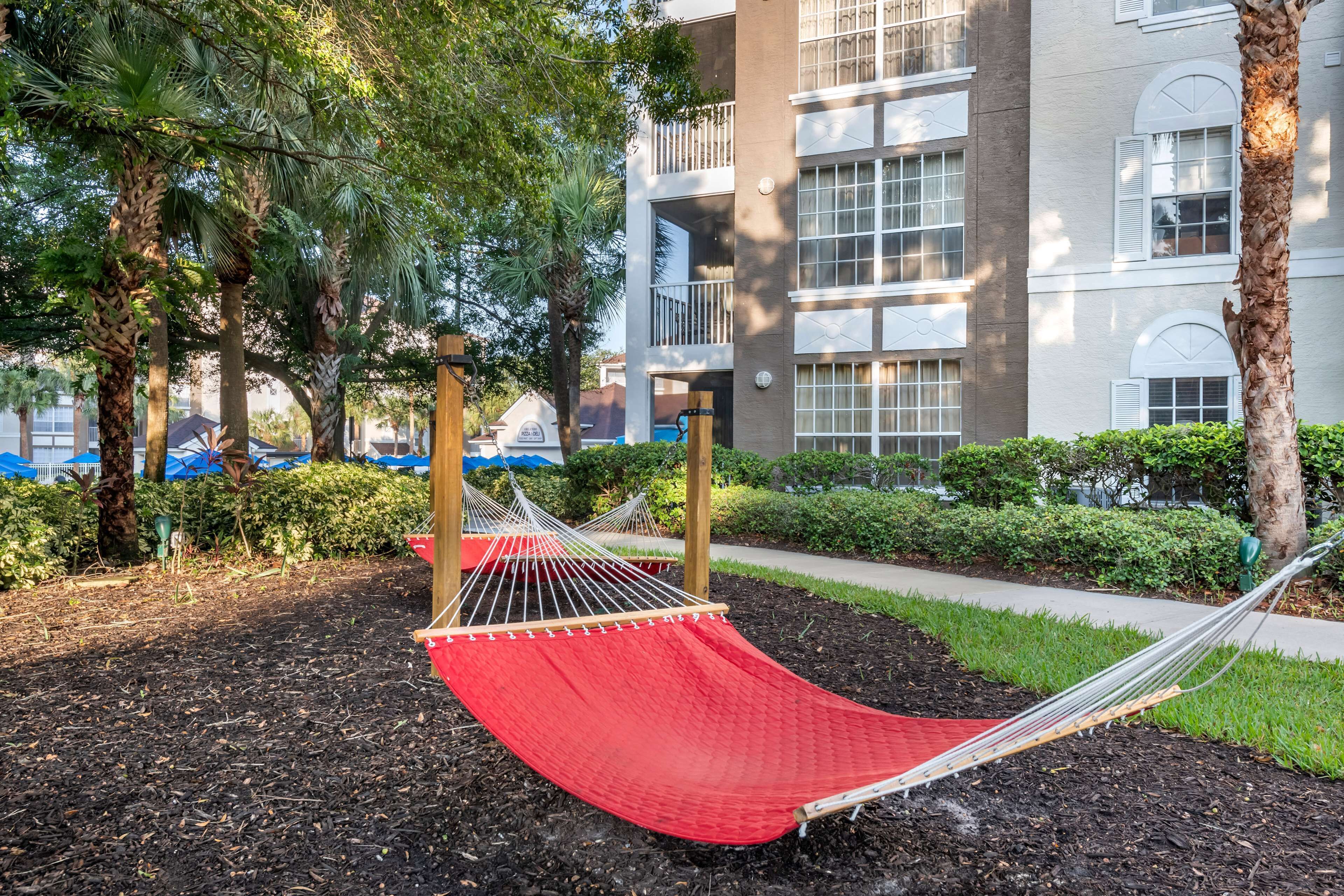 A hammock in a landscaped area with a building in the background.