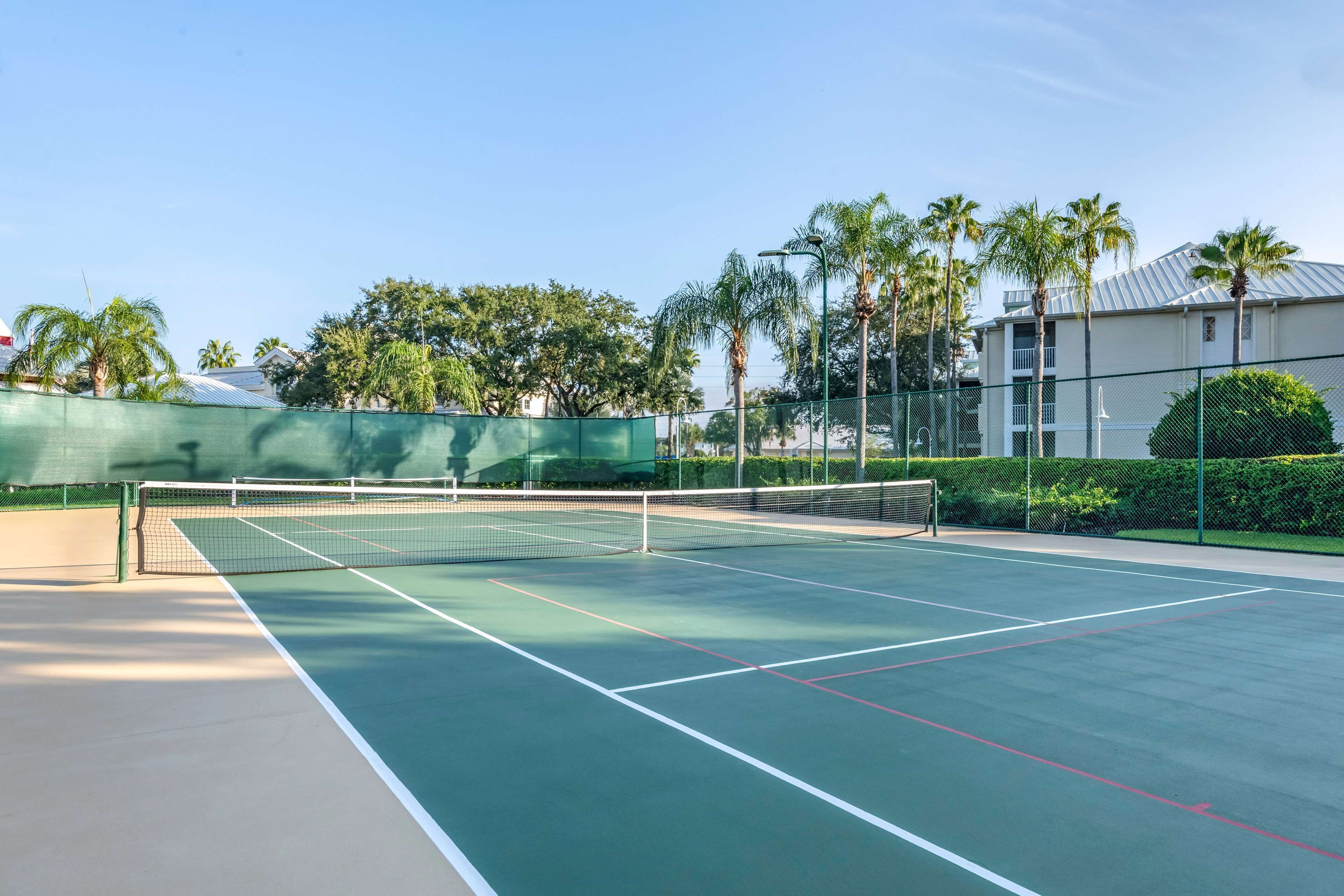 Un terrain de tennis avec un filet, entouré de palmiers et d’une clôture.
