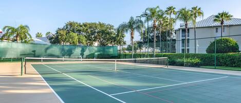 Un terrain de tennis avec un filet, entouré de palmiers et d’une clôture.