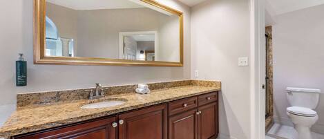 A bathroom with a granite countertop sink, wooden cabinets, a large mirror, and a white toilet.