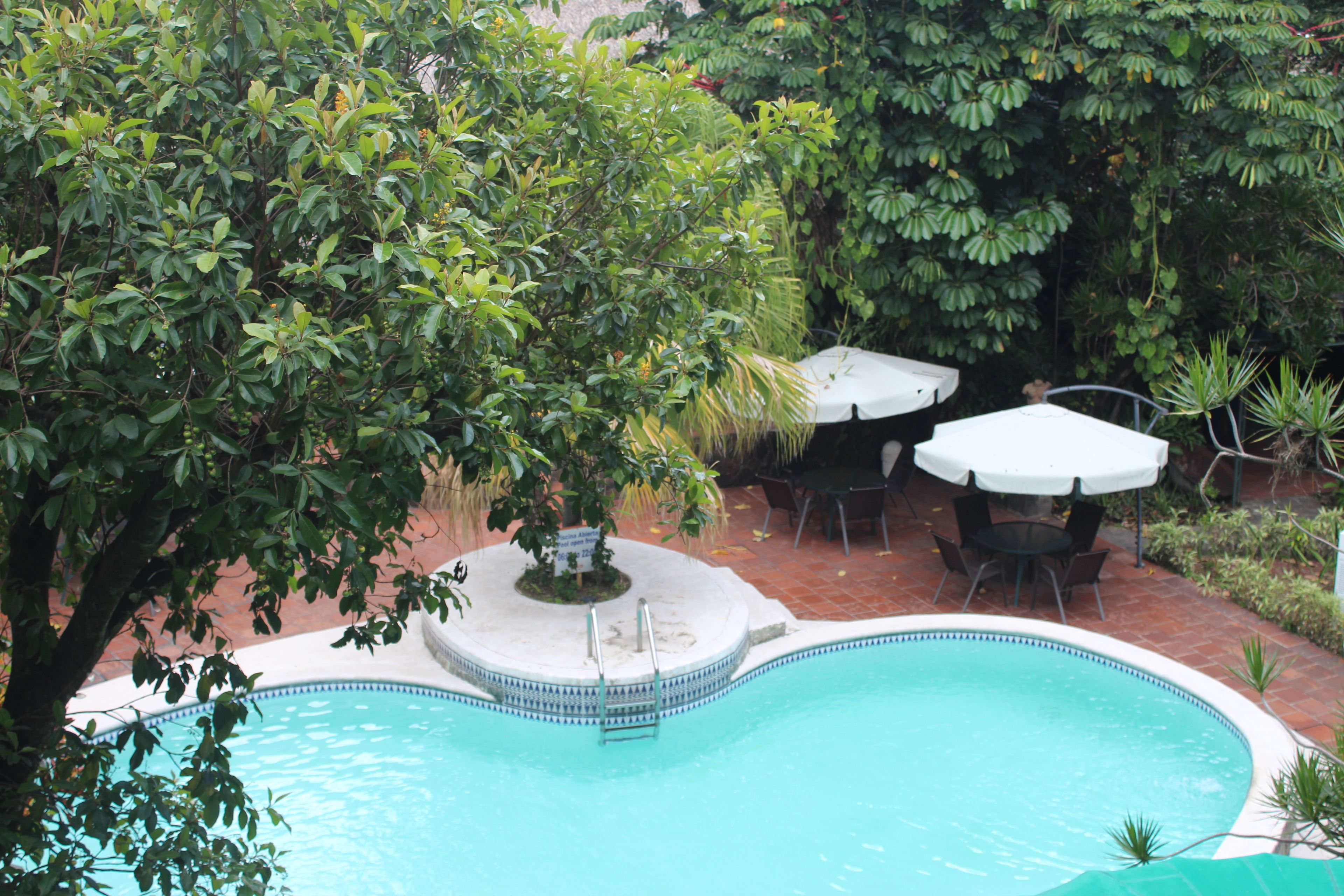 A swimming pool surrounded by lush greenery, with a small circular area for relaxation and a table and chairs nearby.