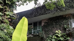 Ein Gebäude mit Balkon und üppigem Grün im Vordergrund.
