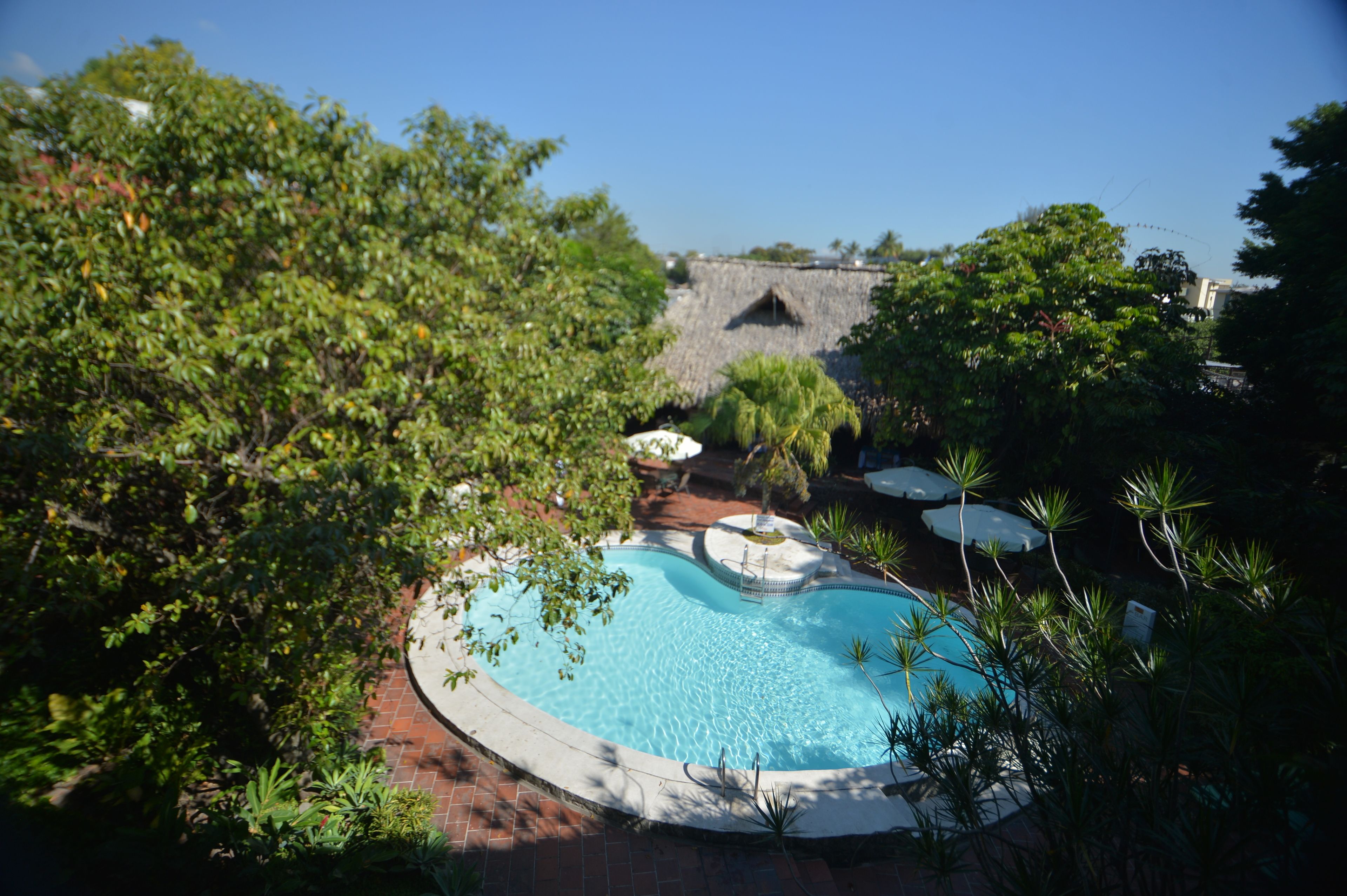 家庭房 | 庭院景观