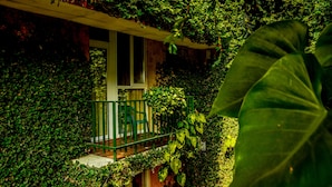 Ein Haus, das teilweise von dichtem Grünwerk überwuchert ist, mit einem sichtbaren Balkon und einem Fenster.