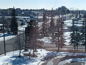 Land view from property