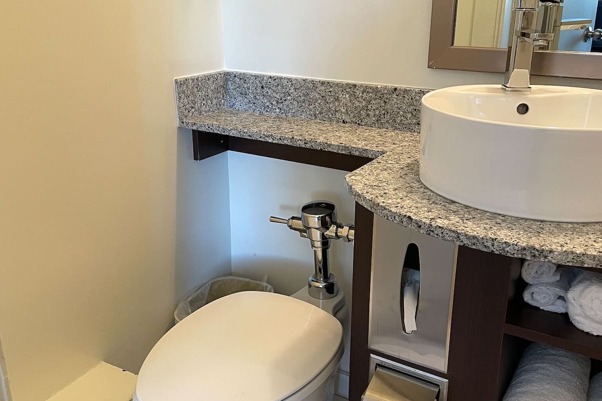 combined shower/bathtub, free toiletries, hair dryer, towels