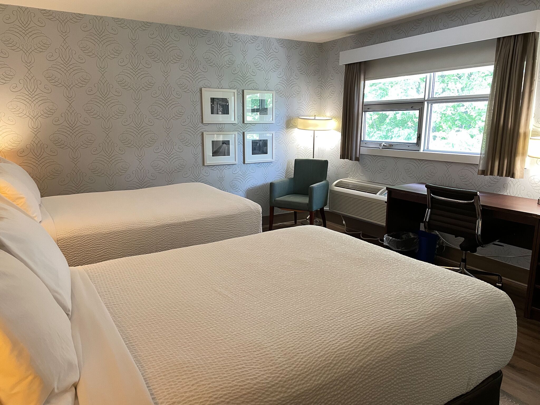 economy room, 2 double beds | desk, iron/ironing board, free wifi, bed sheets