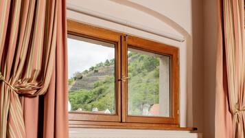 Basic Double Room, City View | View from room