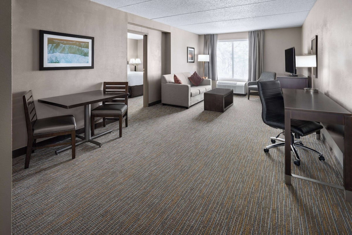 Suite Deluxe, 1 letto king, non fumatori | Minibar (con alcuni snack e alcune bevande gratis), una scrivania