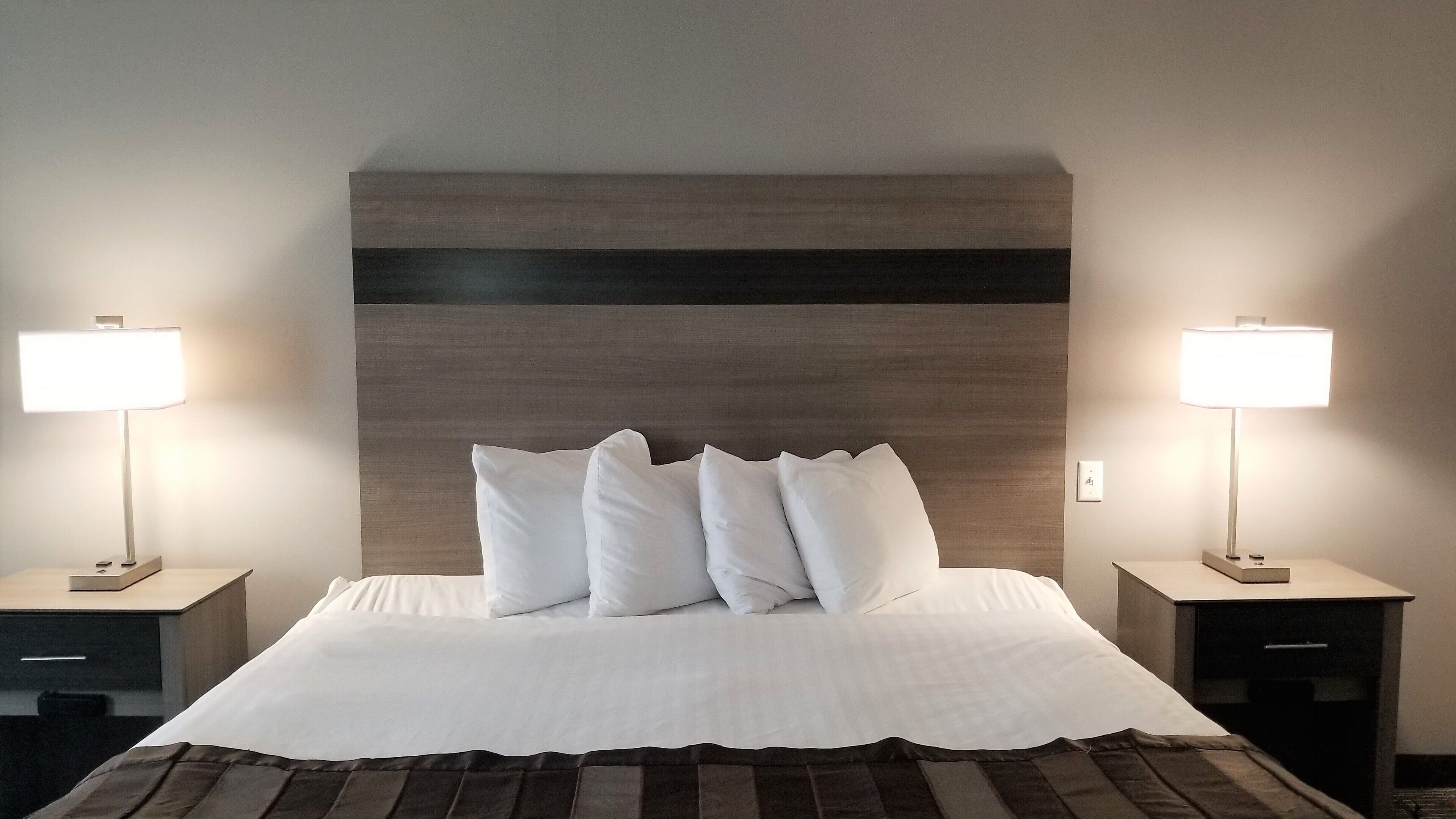 executive suite, 1 king bed, non smoking | hypo-allergenic bedding, in-room safe, desk, laptop workspace