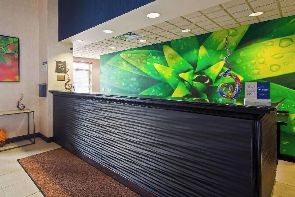 A reception area with a black reception desk, a colorful abstract painting on the wall, and a green leaf pattern on the back wall.