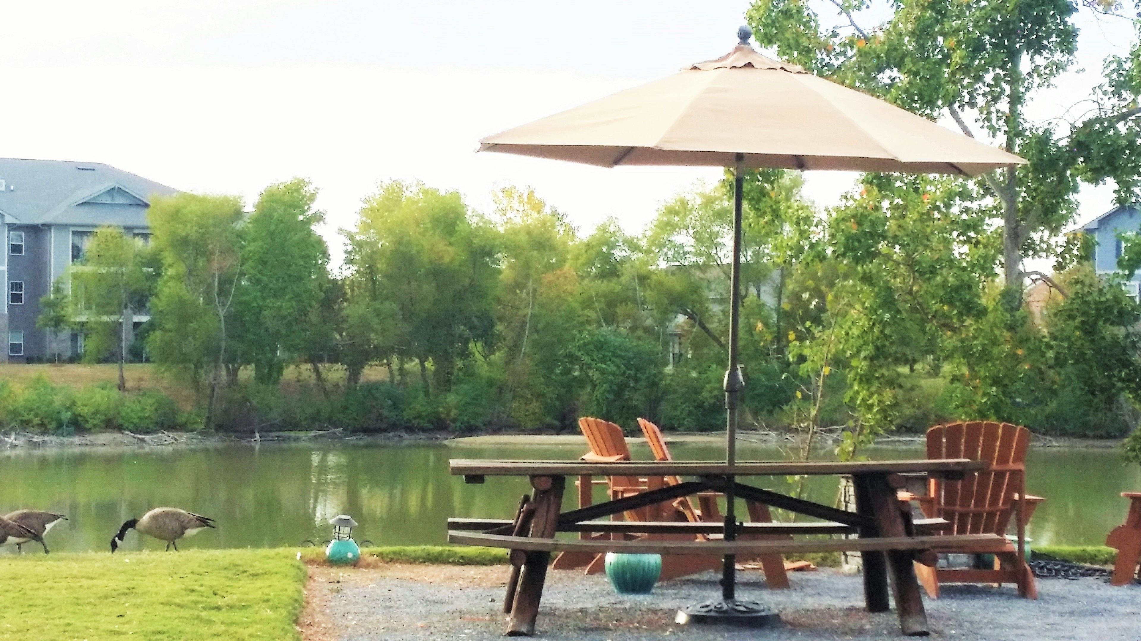 Utsikt fra overnattingsstedet