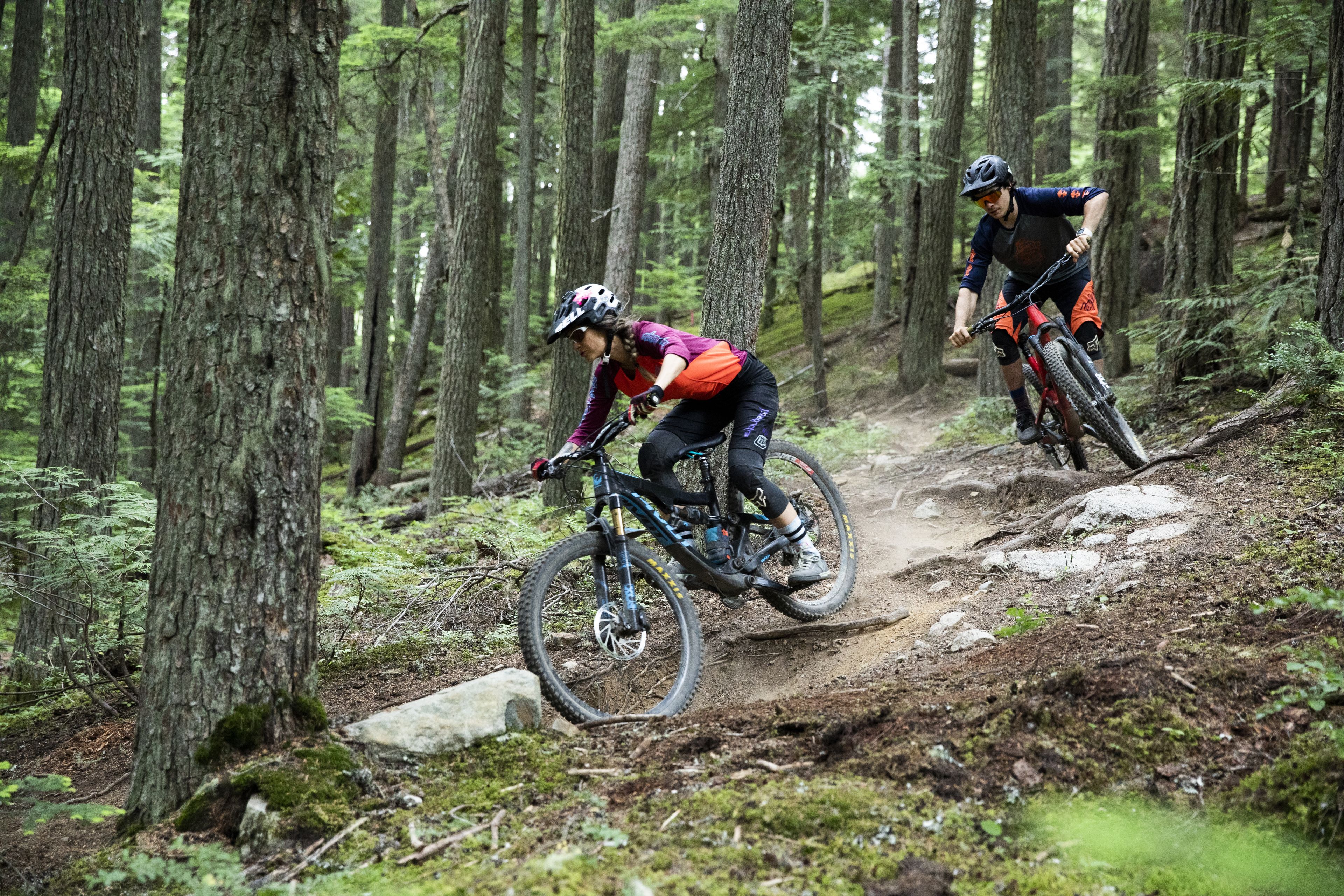 Två mountainbikecyklister på en stig i skogen.