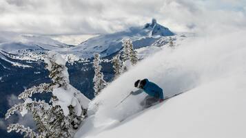A skier on a snowy slope with snow-covered trees and mountains in the background.