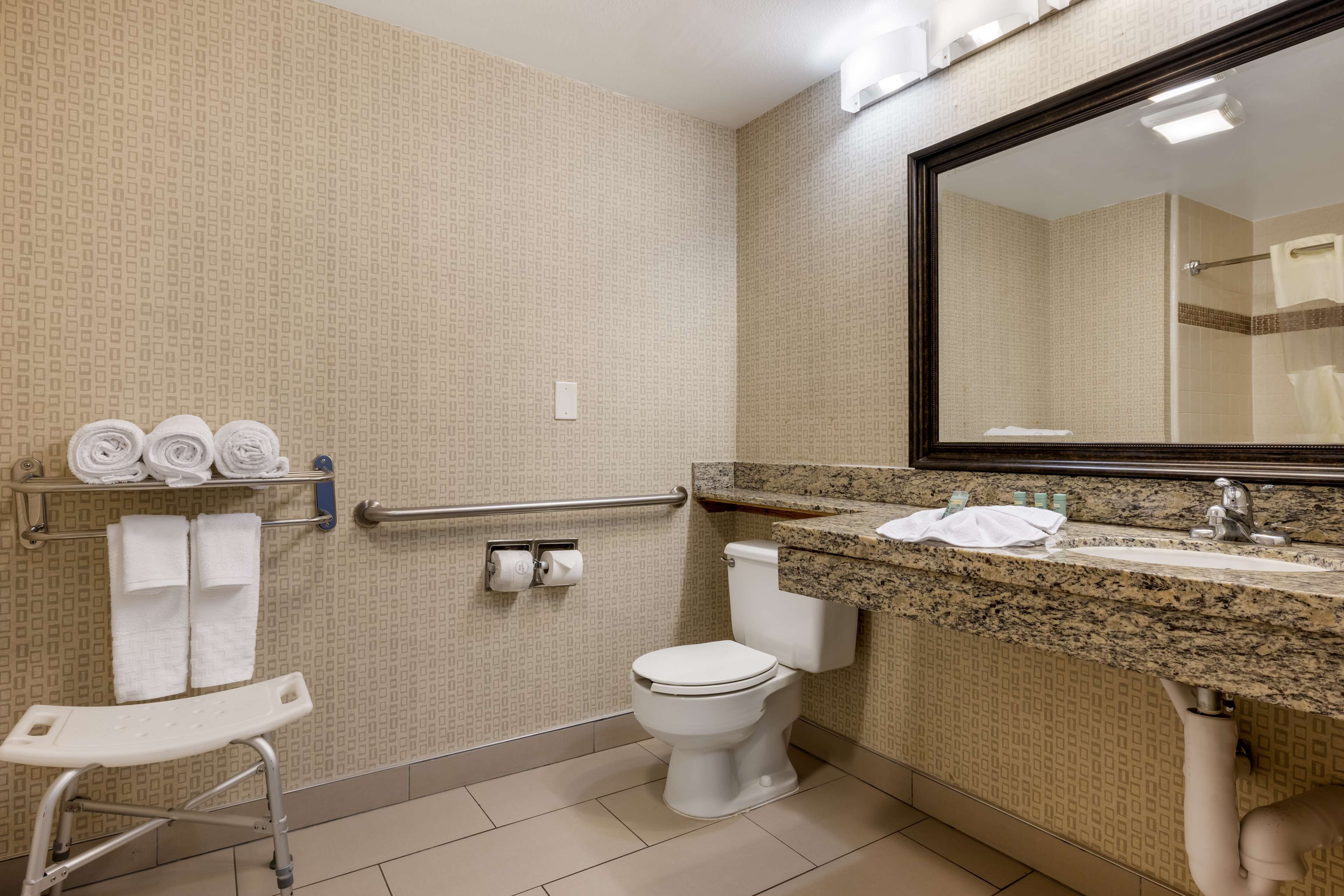 A bathroom with a toilet, sink, and handrails.