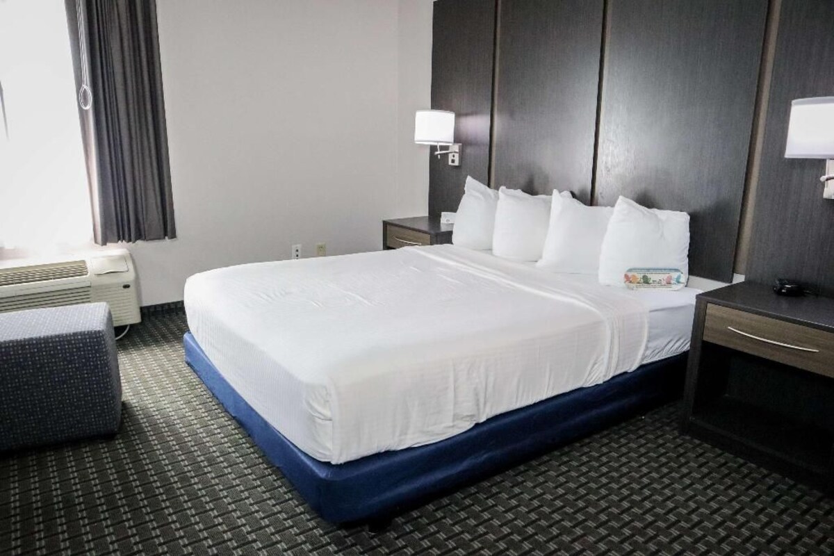 Habitación de hotel con una cama grande, una mesita de noche, una lámpara y una ventana con cortinas.