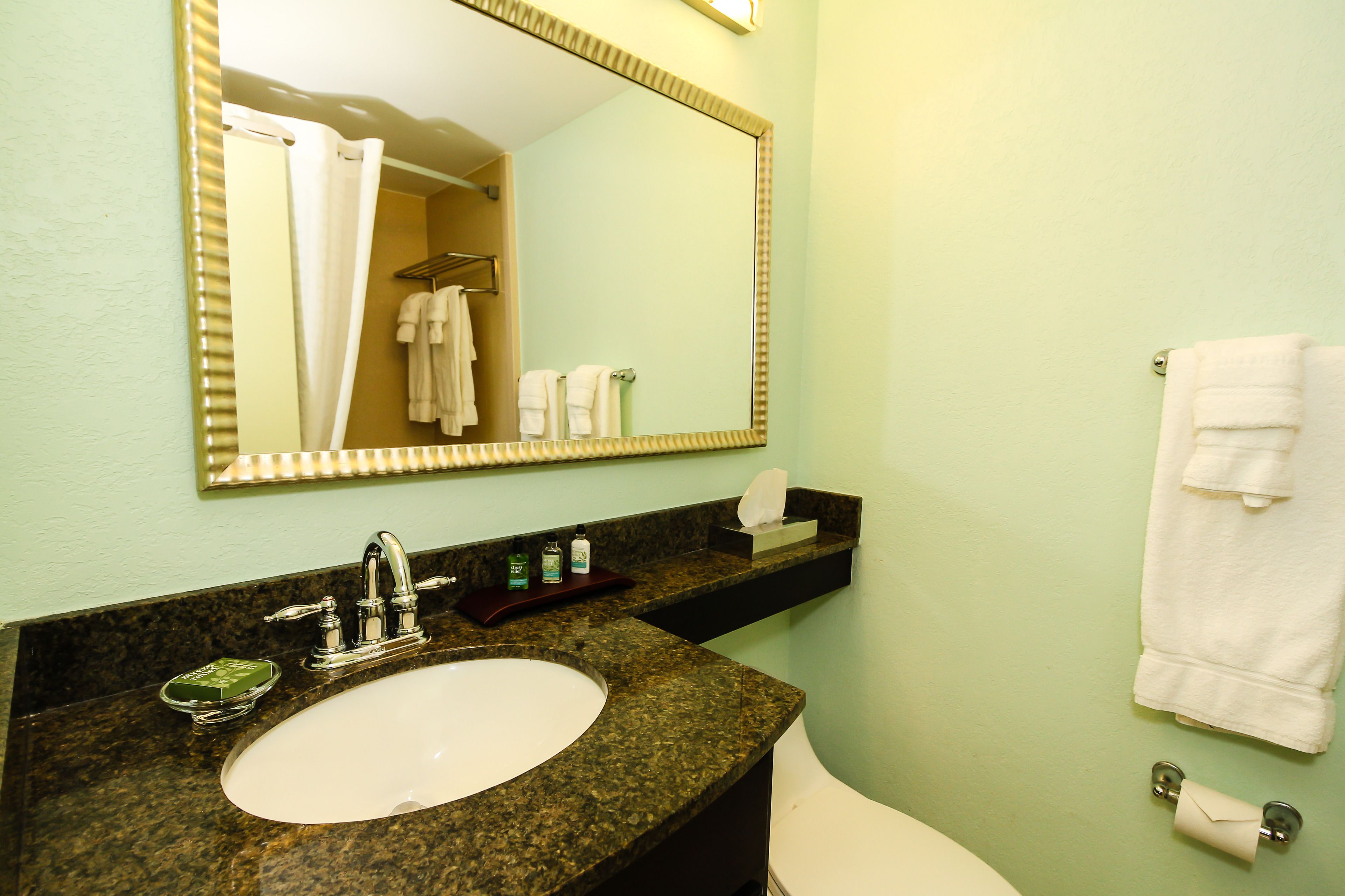 combined shower/bathtub, free toiletries, hair dryer, towels