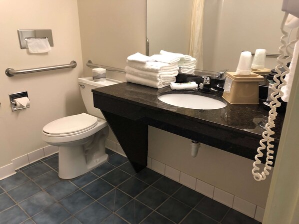 A bathroom with a toilet, sink, and handrails.