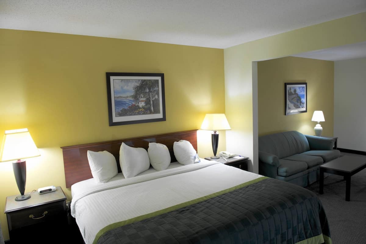 Une chambre d’hôtel avec un lit, deux tables de chevet avec des lampes, un canapé et un tableau au mur.