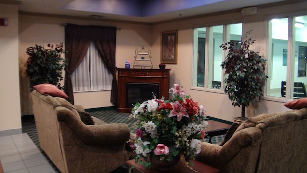 A living room with two armchairs, a fireplace, a large window, and a potted plant.