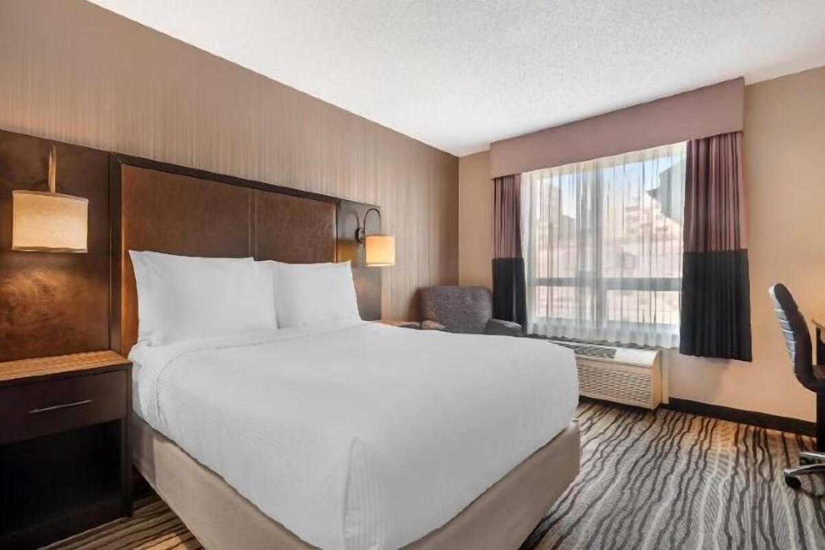 Une chambre d’hôtel avec un grand lit, un bureau, une chaise, une fenêtre avec des rideaux et un radiateur fixé au mur.