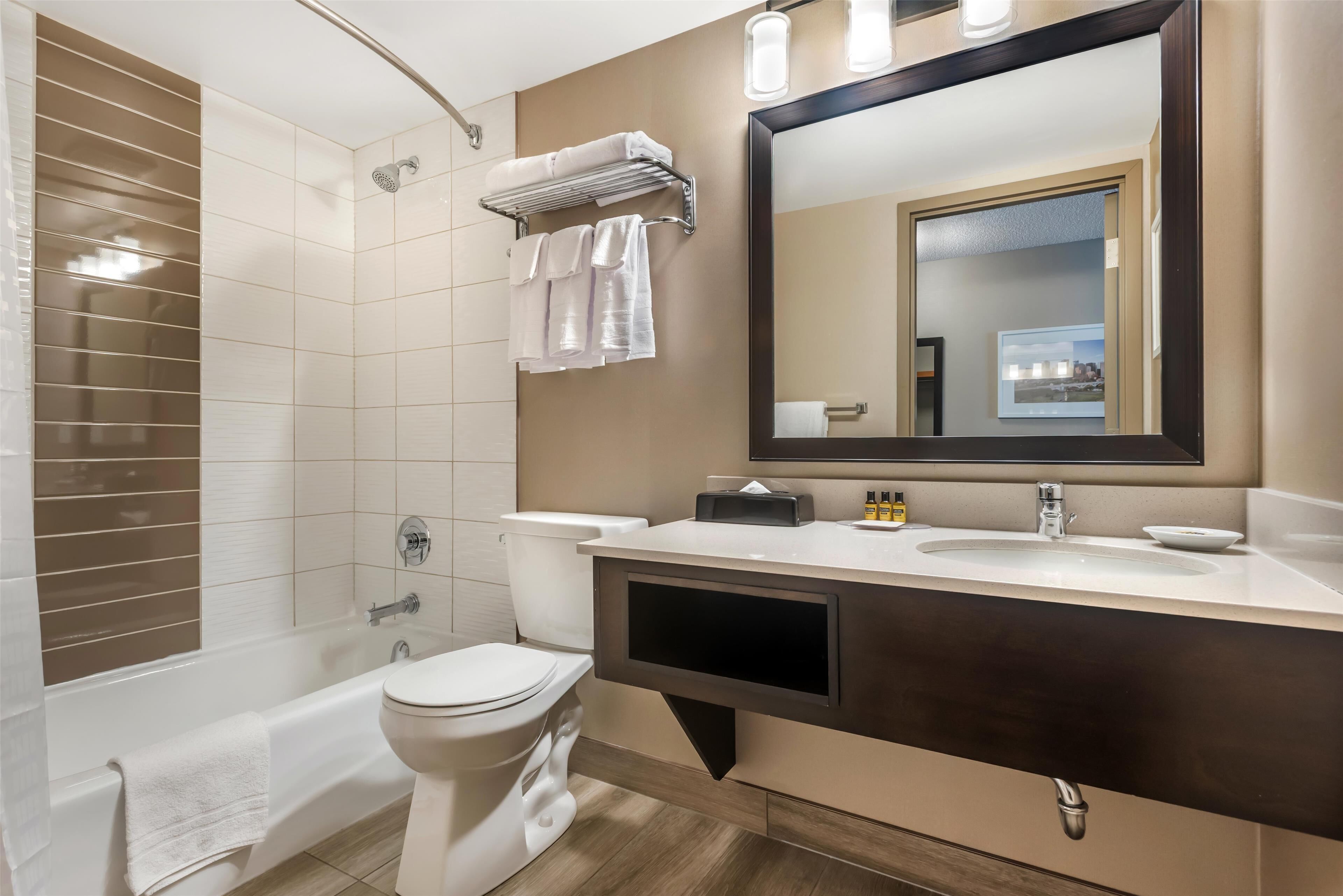 standard room, 1 queen bed, accessible, bathtub | bathroom | combined shower/bathtub, free toiletries, hair dryer, towels