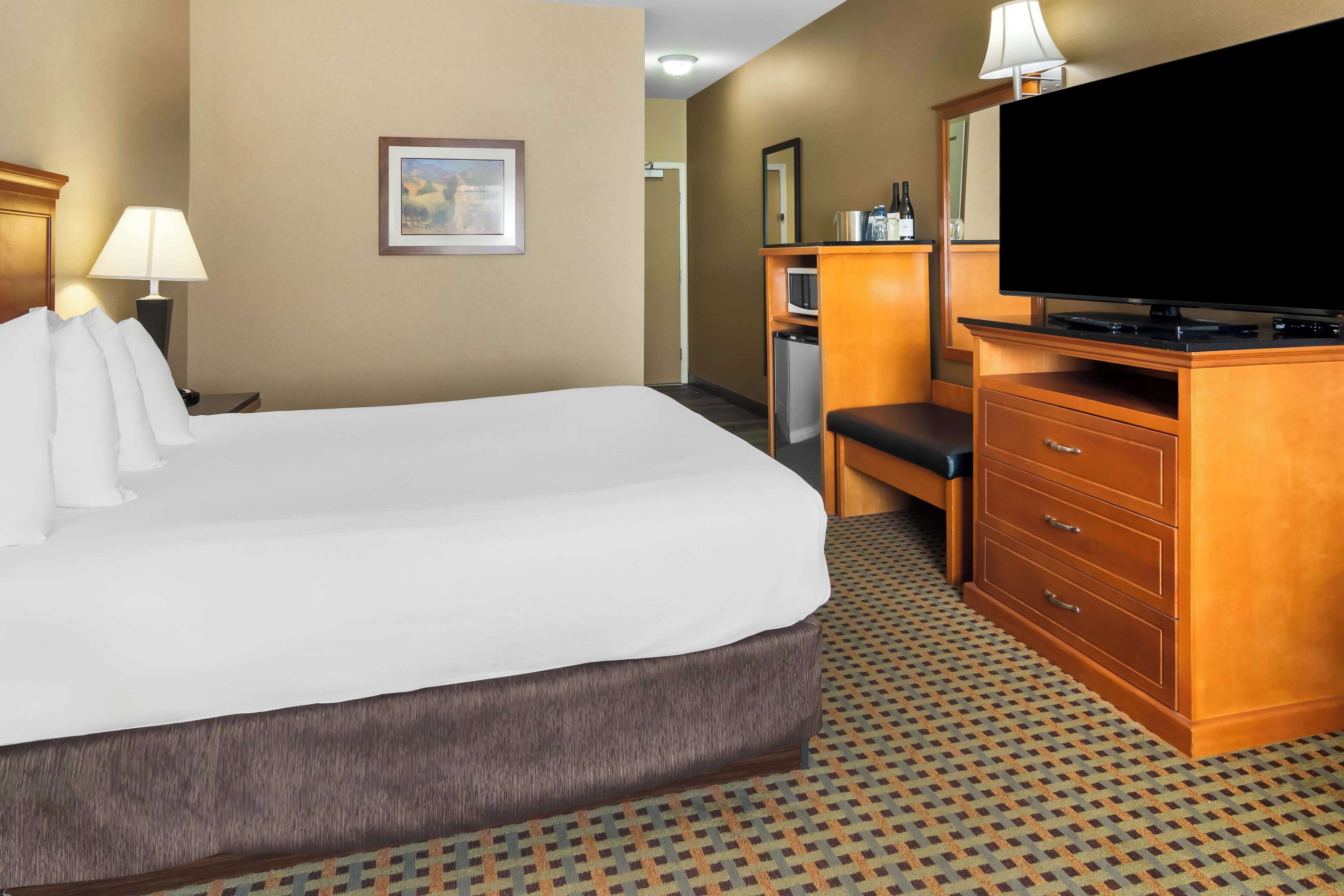Habitación de hotel con una cama grande, un escritorio con televisor, un minibar y una alfombra estampada.
