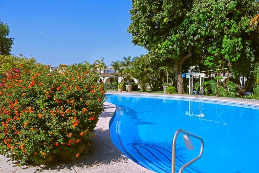 A swimming pool with a metal ladder, surrounded by lush greenery and flowering bushes.