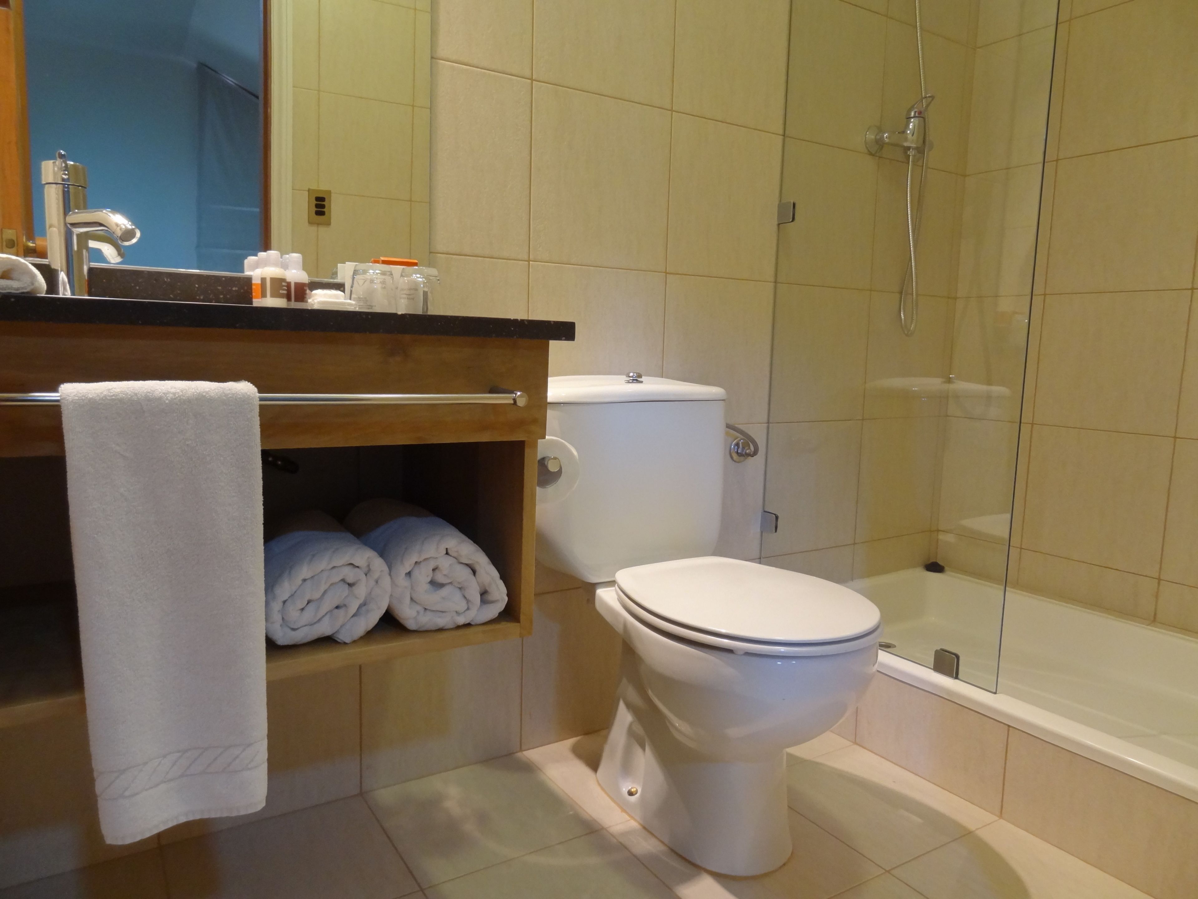 A bathroom with a toilet, a shower, and a sink with a towel rack.