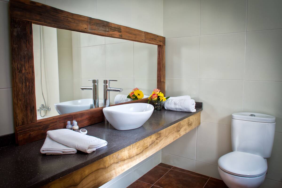 free toiletries, hair dryer, towels