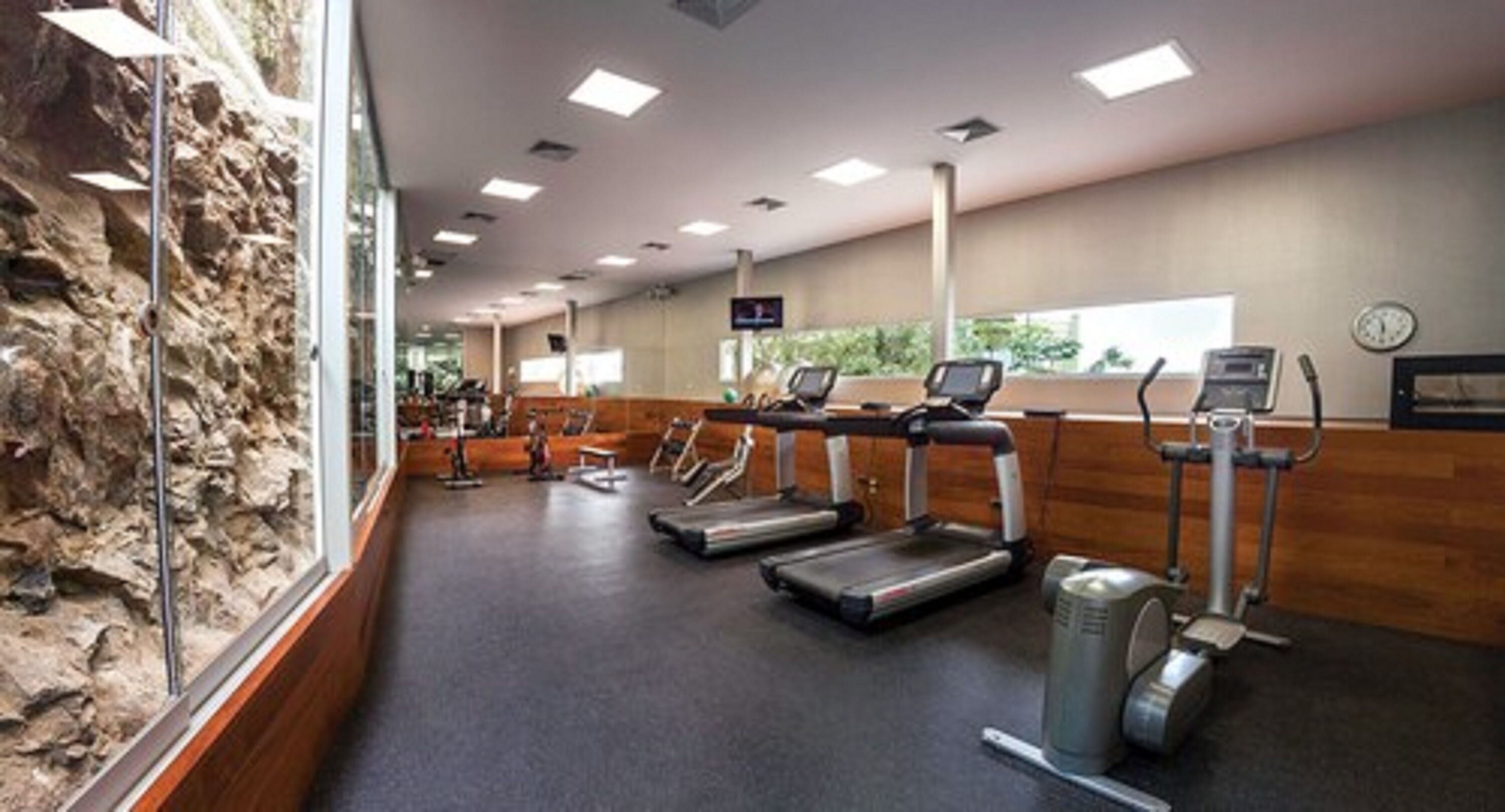 Un gimnasio con cintas de correr, bicicletas estáticas y un amplio ventanal con vistas a zonas verdes.