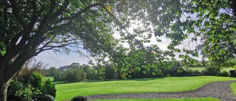Hage