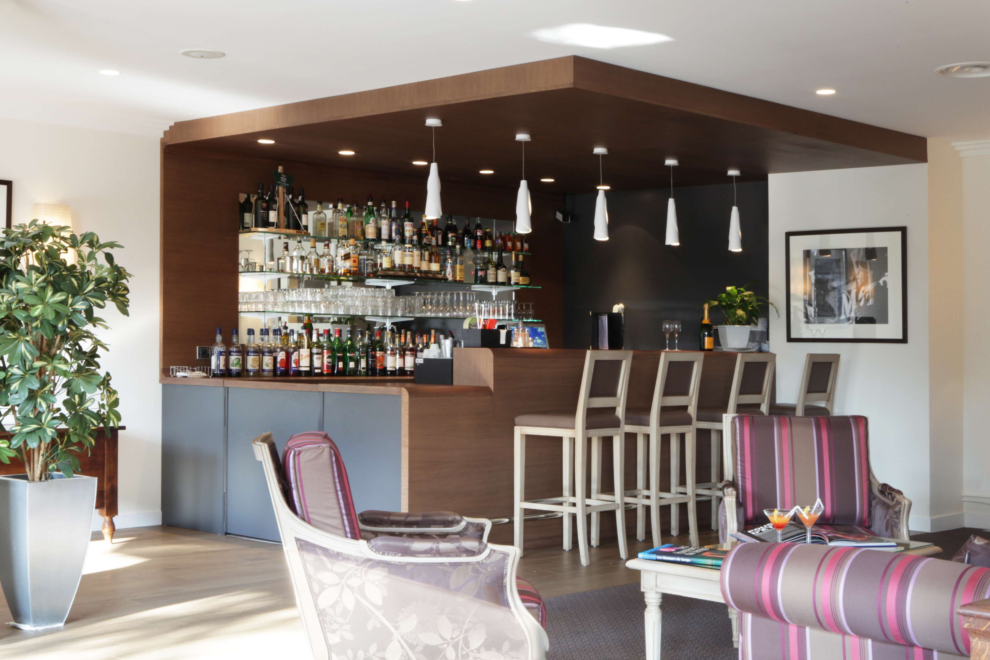 A modern interior with a bar area, seating, and a large potted plant.