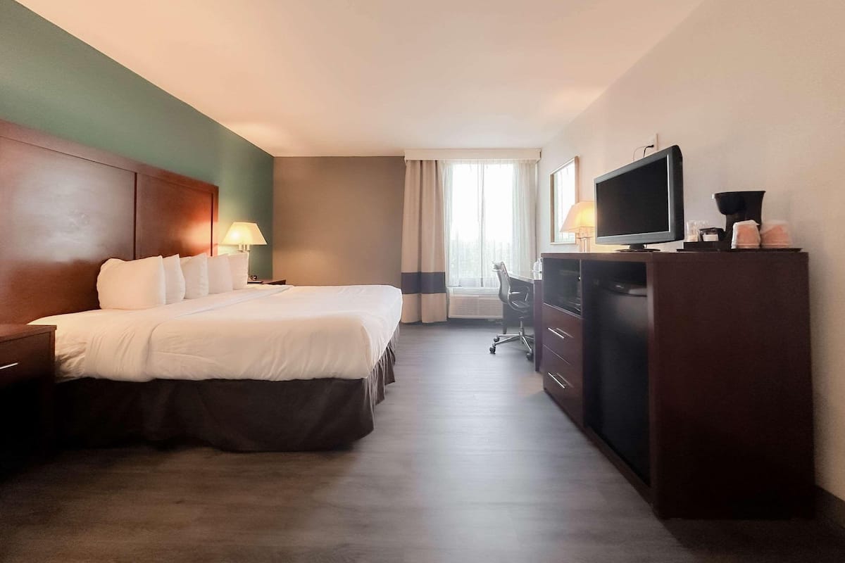 Standard Single Room | Pillowtop beds, in-room safe, desk, laptop workspace