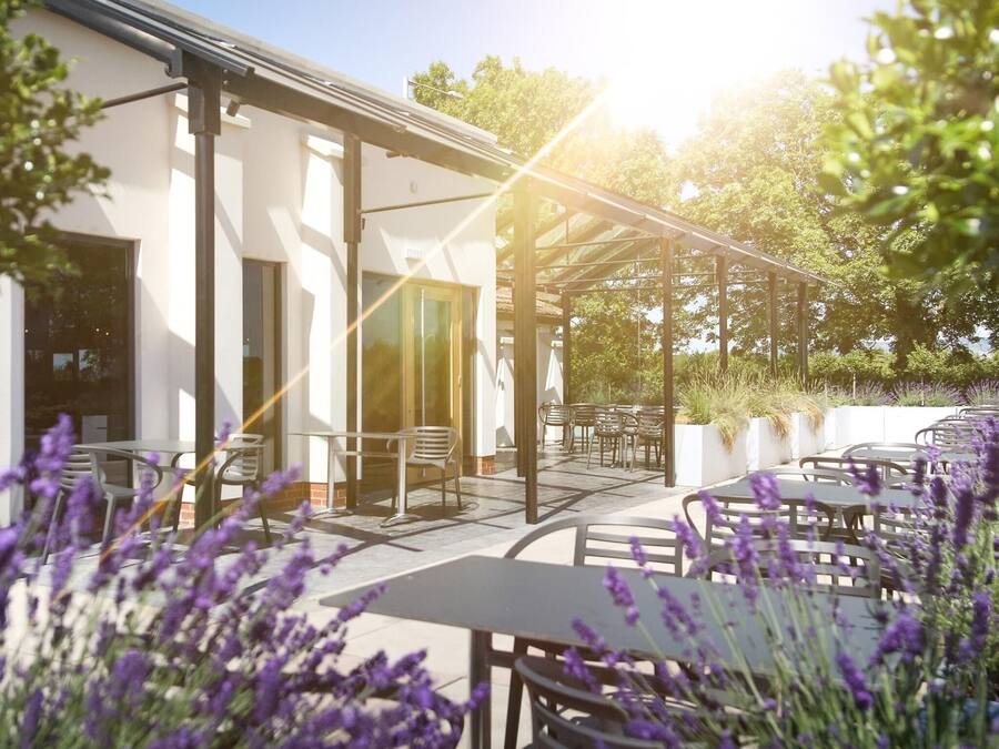 Lunch and dinner served