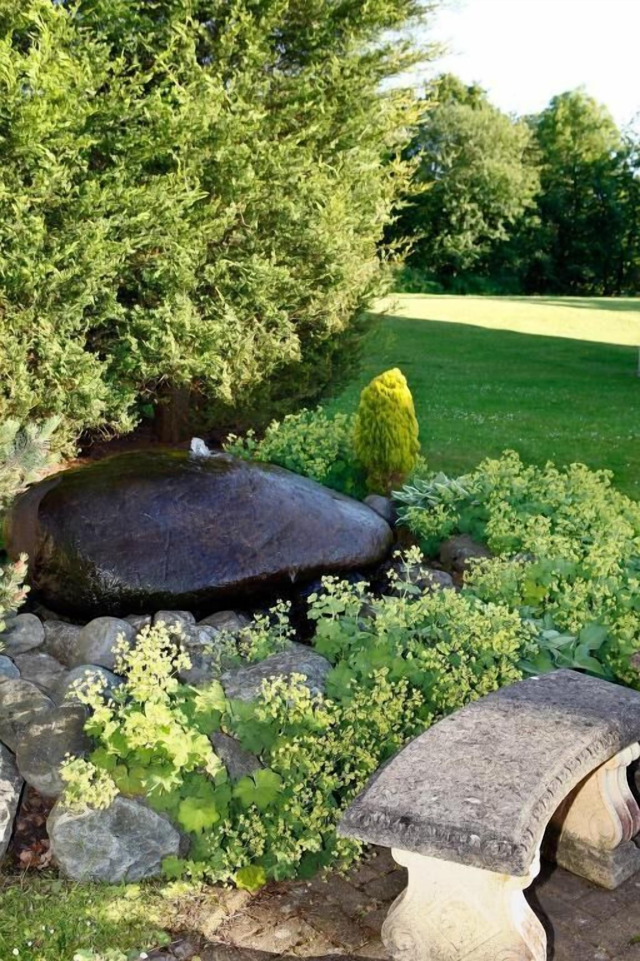 Un jardín con un estanque, rocas y un banco de piedra.