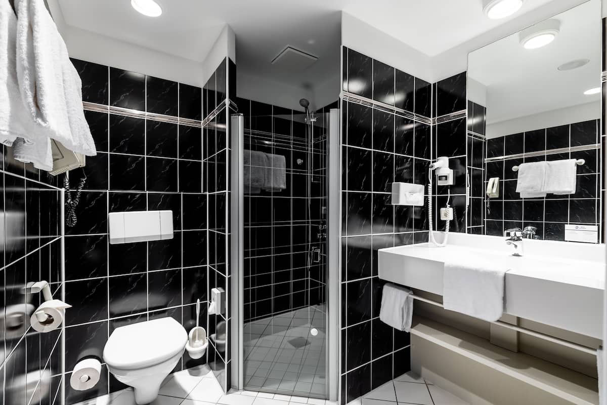 business room, 1 queen bed | bathroom | hair dryer, towels