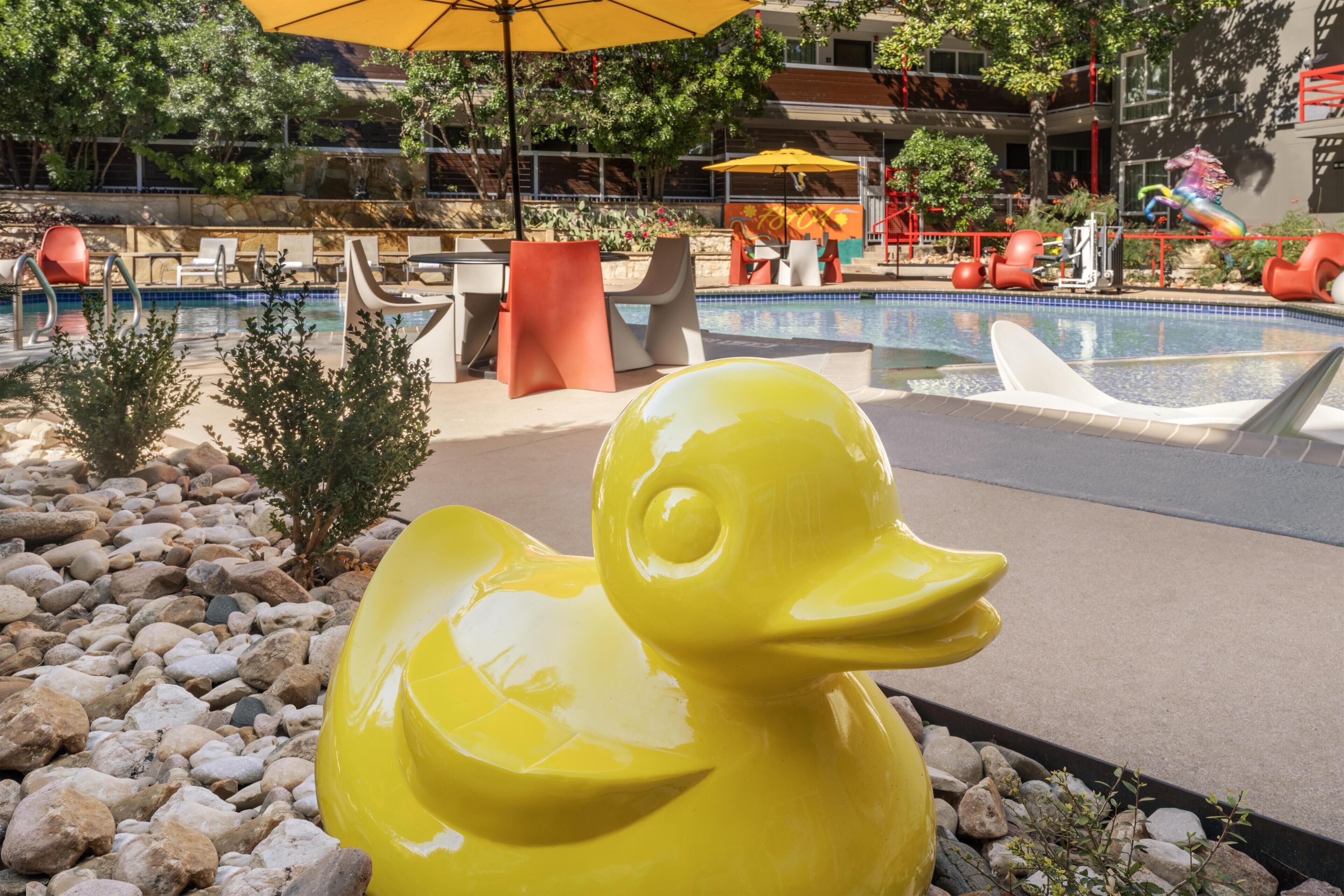 Photo - Aiden Austin City Hotel