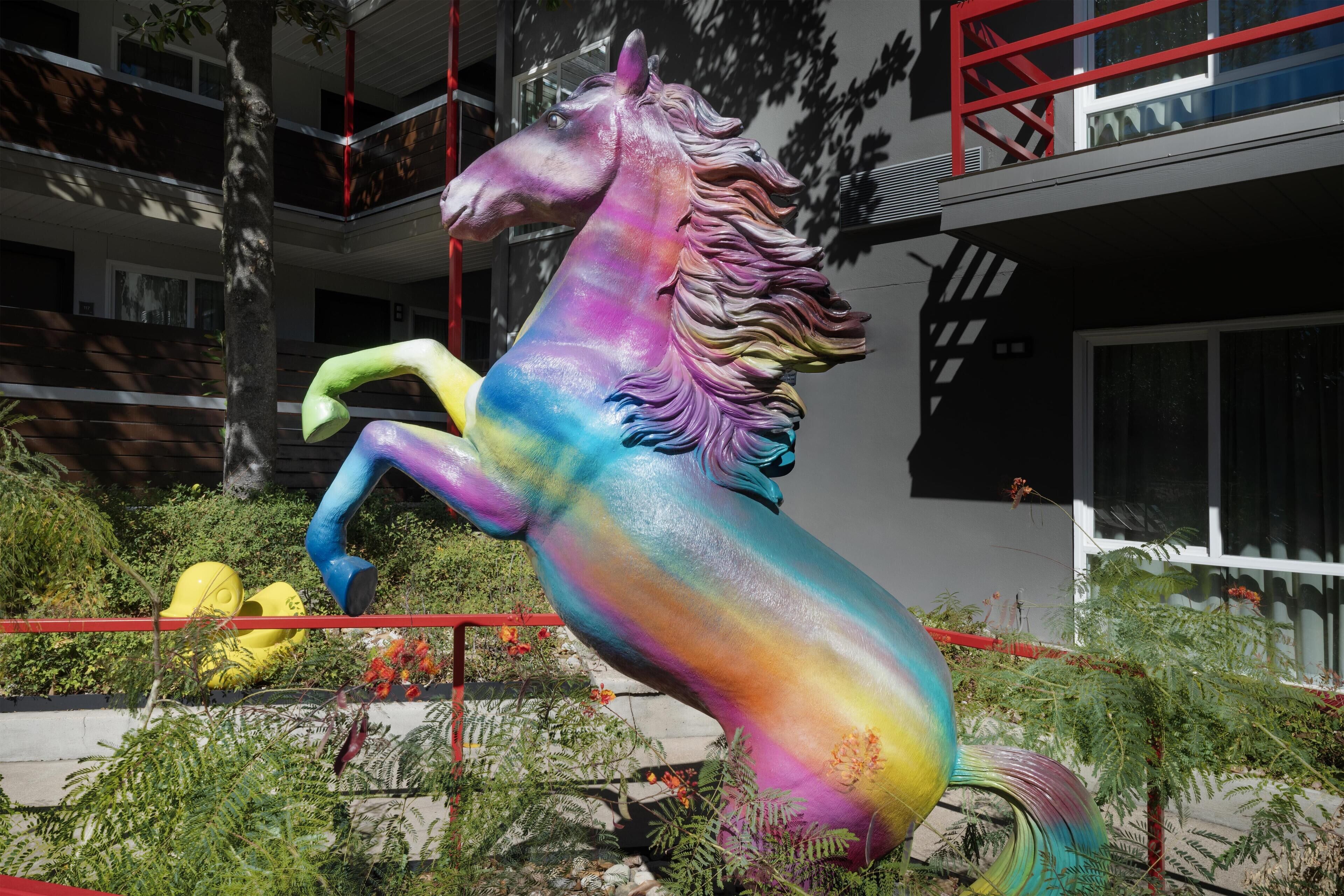 Photo - Aiden Austin City Hotel