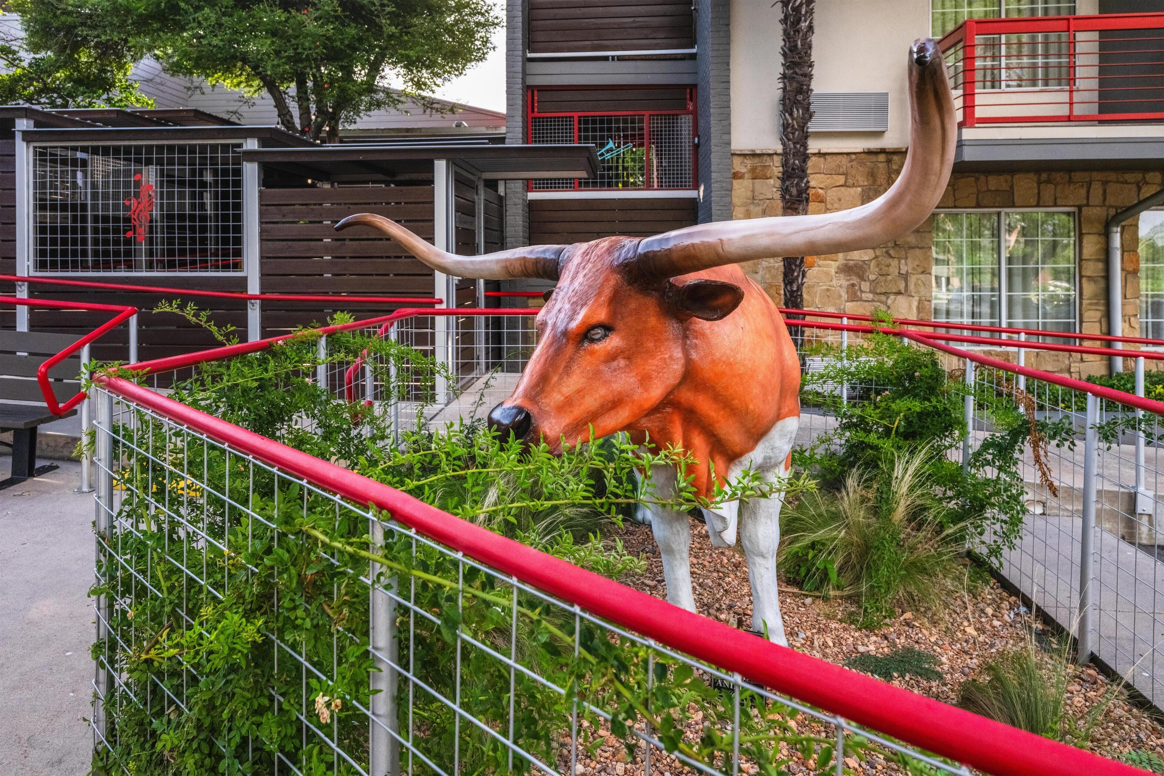 Photo - Aiden Austin City Hotel