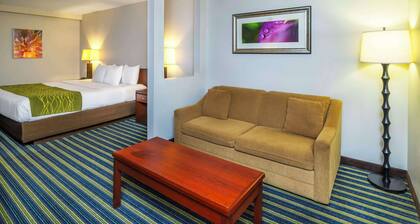 Comfort Inn & Suites