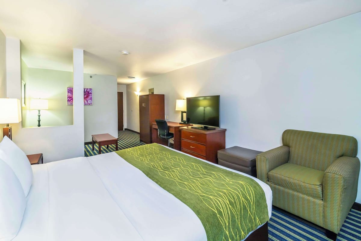 Suite, 1 King Bed with Sofa bed, Non Smoking | Desk, laptop workspace, blackout drapes, iron/ironing board