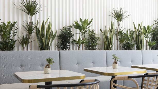 A modern indoor seating area with cushioned sofas and tables, surrounded by potted plants. - Best Western Premier Hotel Roosevelt (Nice)