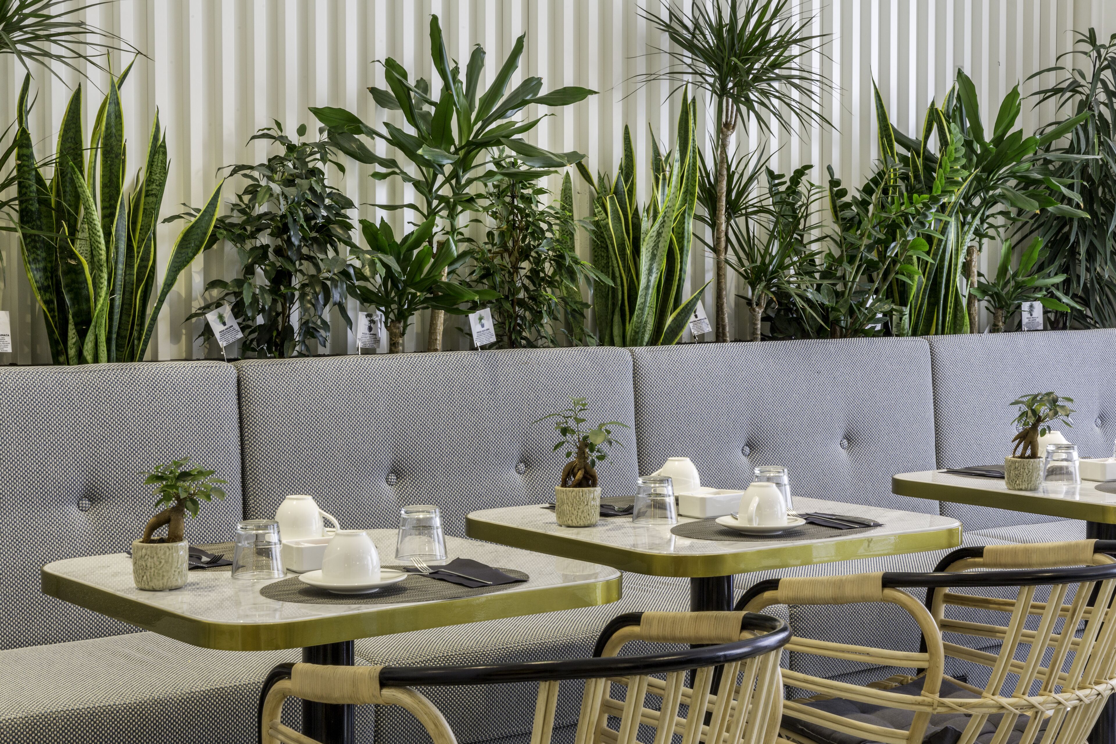 Frokostbuffé hver dag (EUR 21 per person)