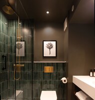 Shower, rainfall showerhead, free toiletries, hair dryer